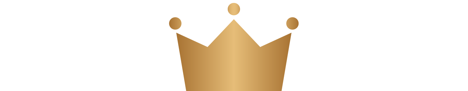 ライトプラン